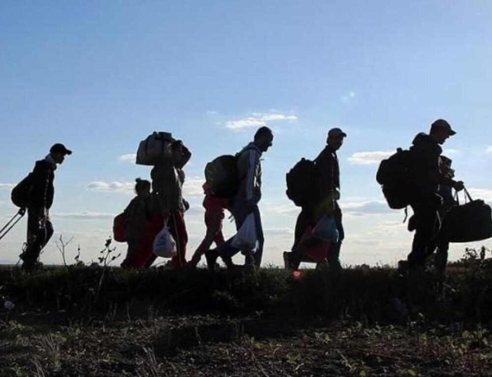 migranti-500×383@2x