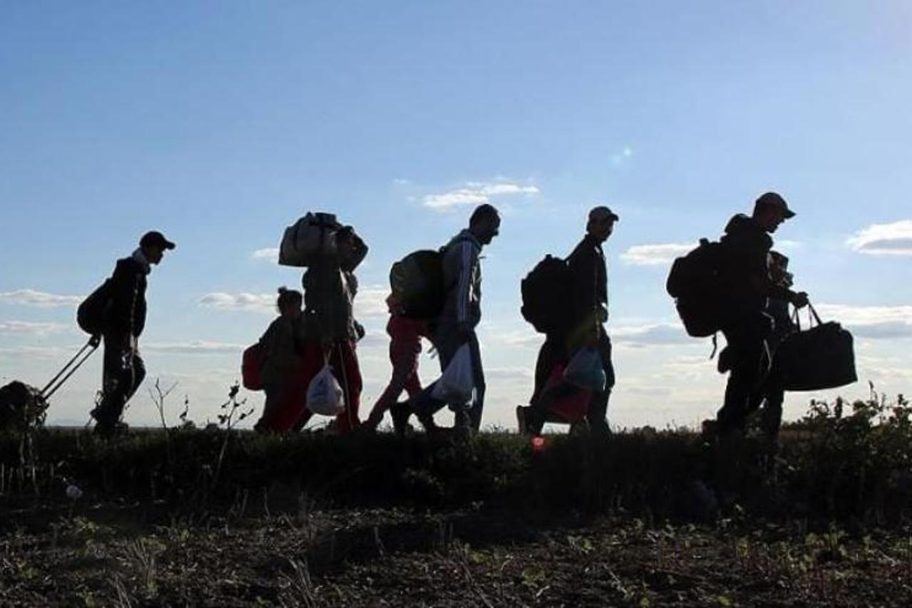 migranti
