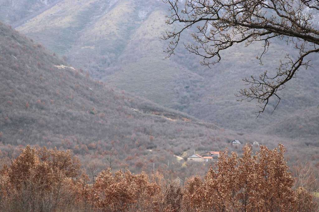 Zukulja