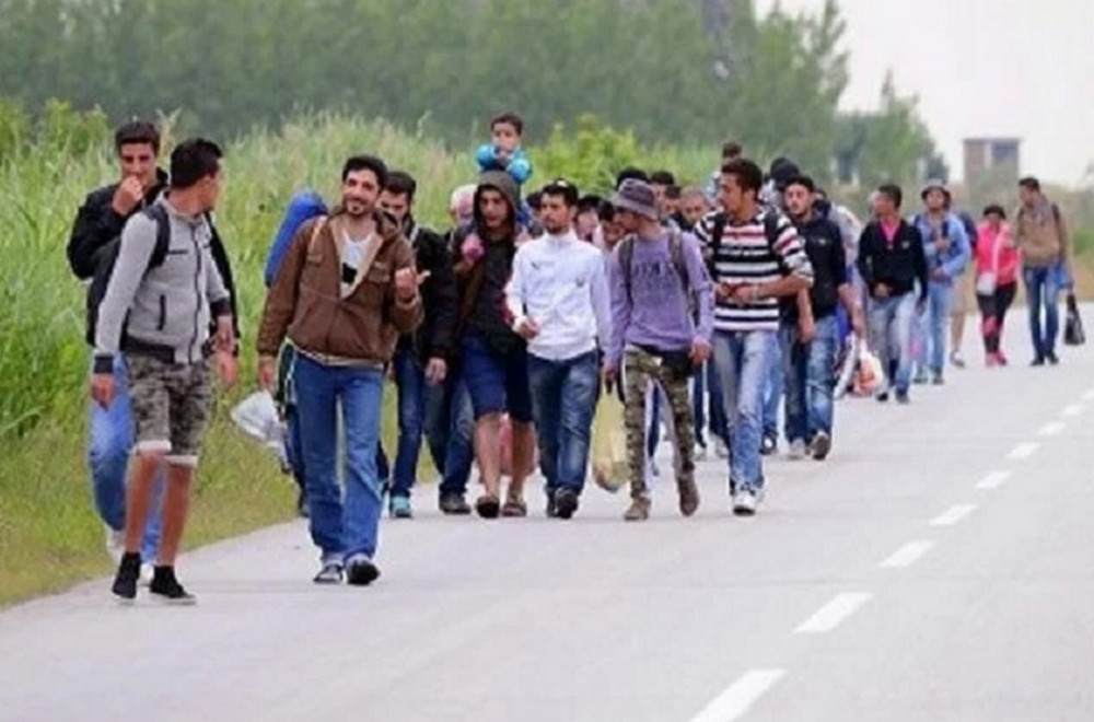 migranti