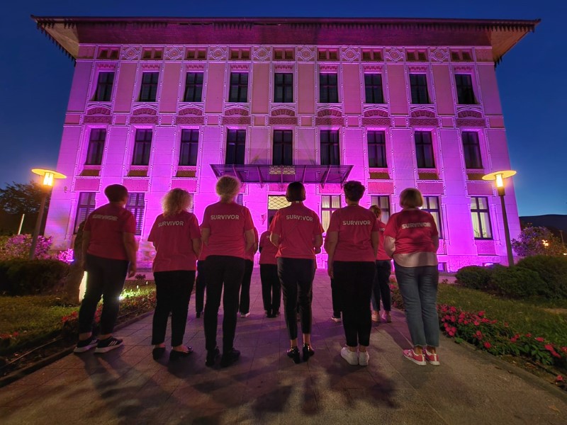 pink_boja_oktobar_udruzenje_novi_pogled