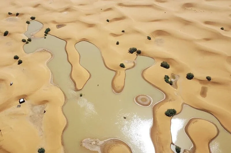 sahara