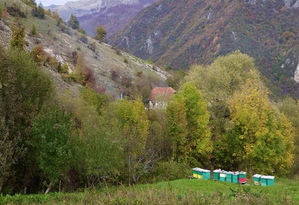 bjelimici