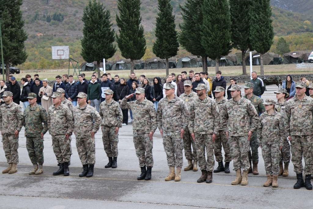 dan_oruzanih_snaga_livac_11