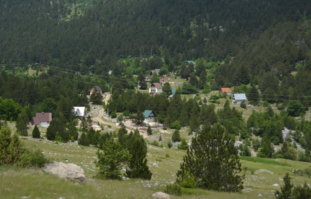 rujiste