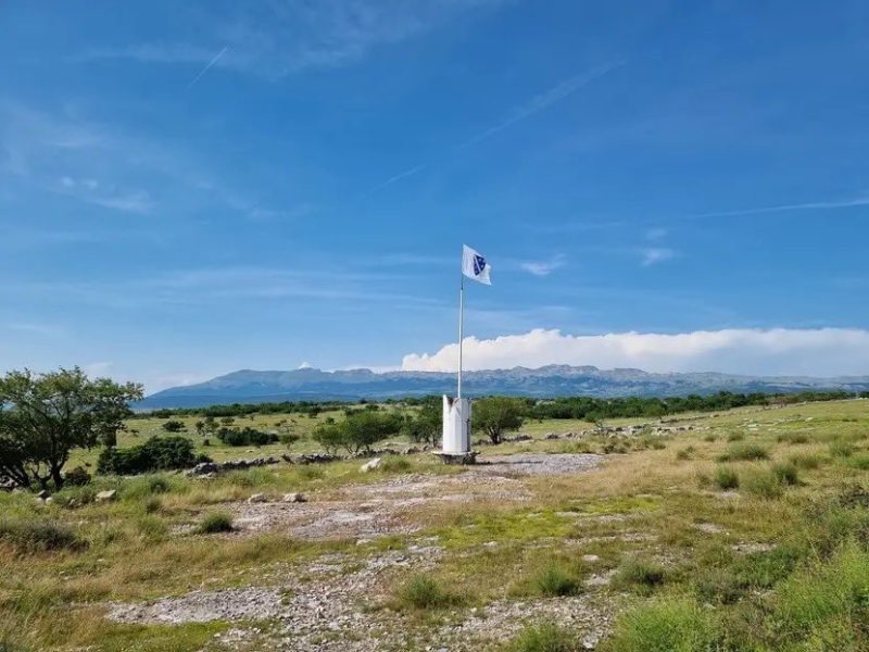 Žulja