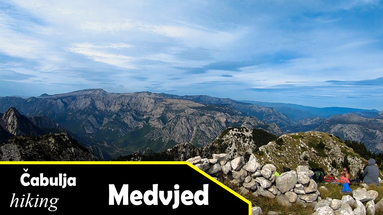 MEDVJED