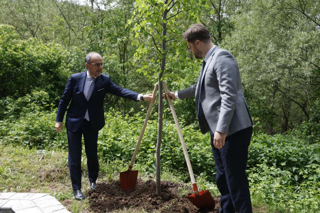soreca i čengić