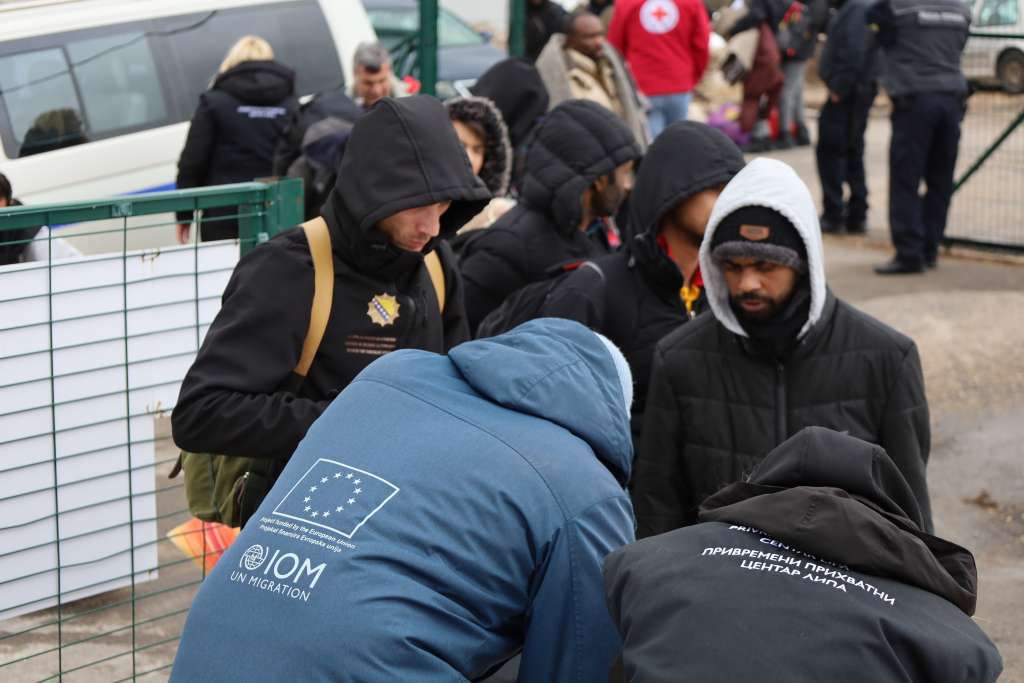 migracija