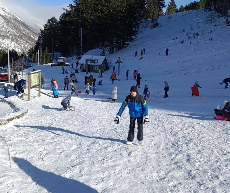 Rujište