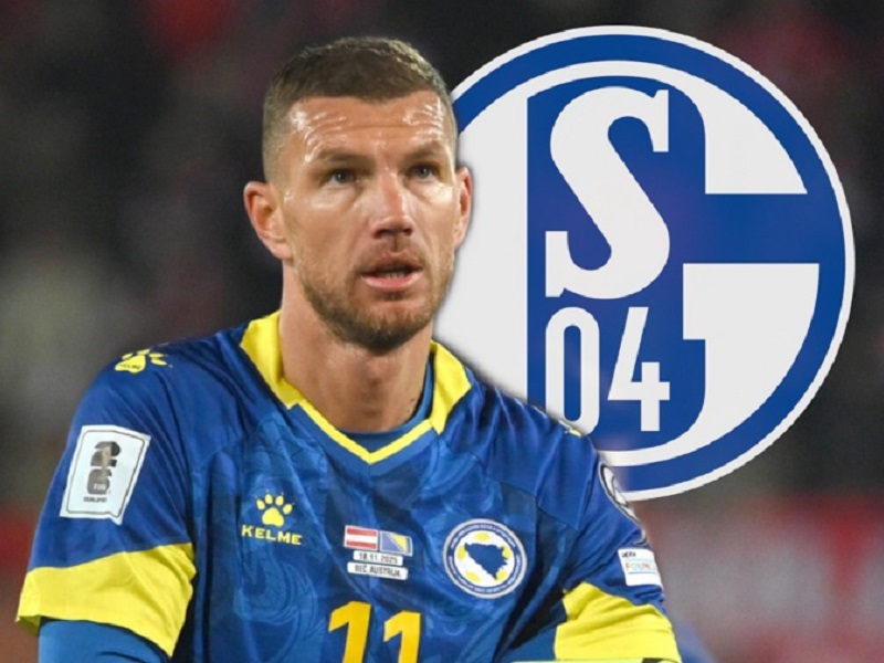 džeko schalke